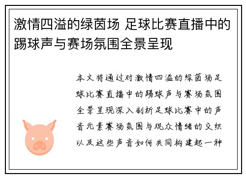 激情四溢的绿茵场 足球比赛直播中的踢球声与赛场氛围全景呈现